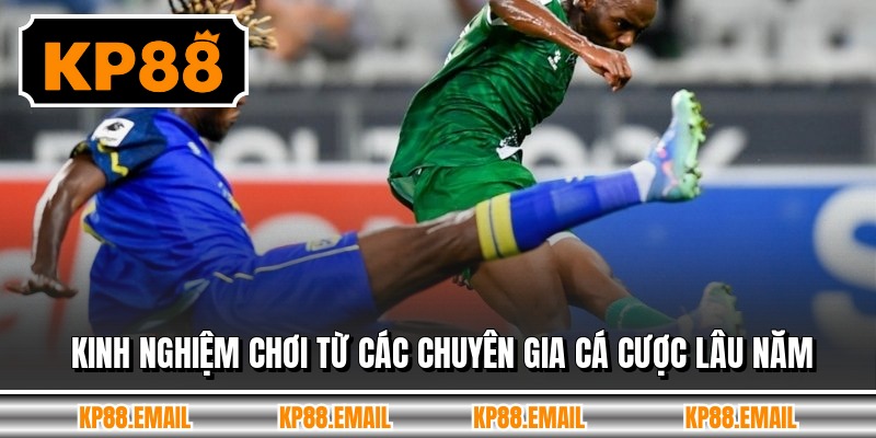 Kinh nghiệm chơi từ các chuyên gia cá cược lâu năm 