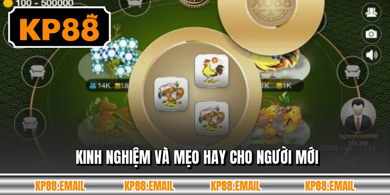 Kinh nghiệm và mẹo hay cho người mới