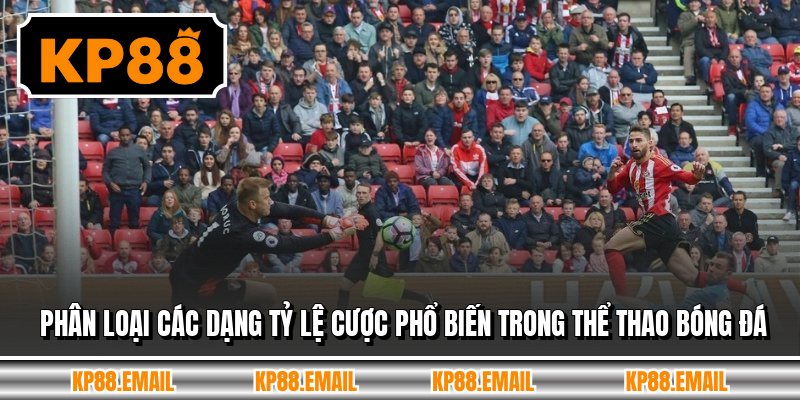 Phân loại các dạng tỷ lệ cược phổ biến trong thể thao bóng đá