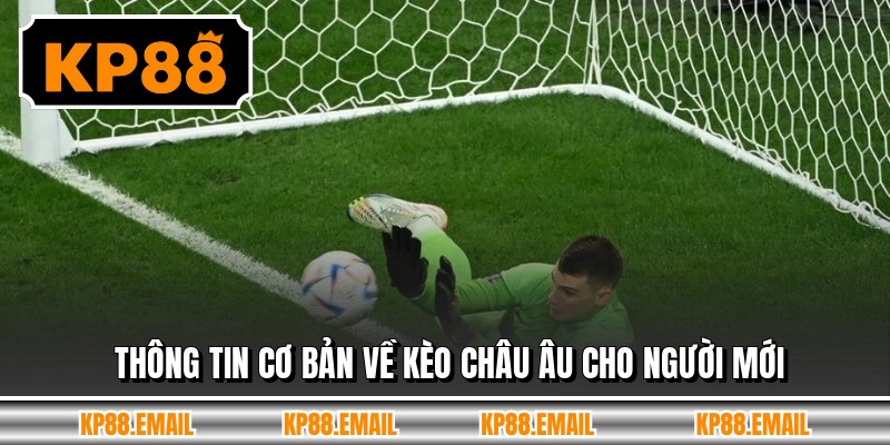 Thông tin cơ bản về kèo Châu Âu cho người mới